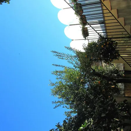 Alojamento de Acomodação e Pequeno-almoço - Comeinsicily Cortedeilimoni - Charming & Rel 4*