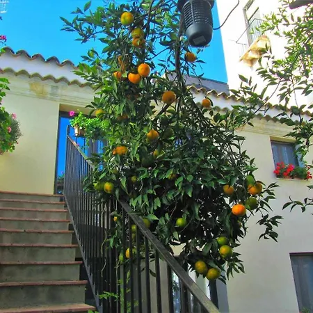 לינה וארוחת בוקר Comeinsicily Cortedeilimoni Charming & Relax 2*