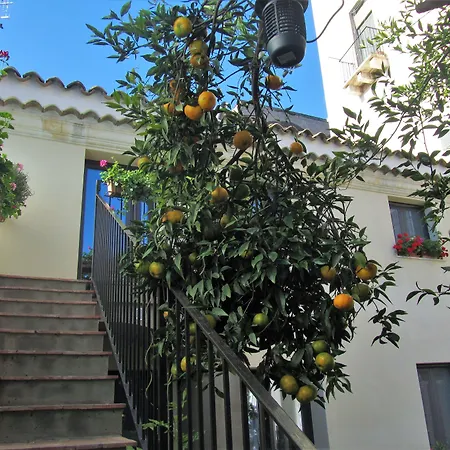 - Comeinsicily Cortedeilimoni - Charming & Relaxing Luxury