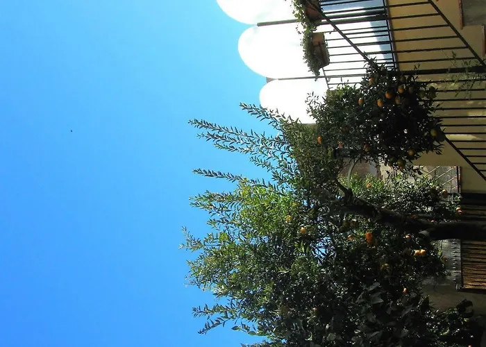 Alojamento de Acomodação e Pequeno-almoço - Comeinsicily Cortedeilimoni - Charming & Relaxing Luxury 4*